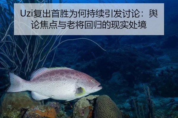 Uzi复出首胜为何持续引发讨论：舆论焦点与老将回归的现实处境